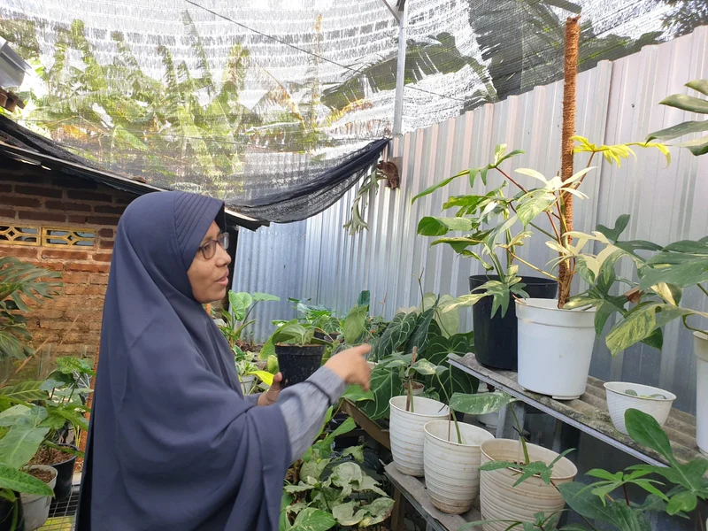 Rista Muji, Couple Preneur Exportir Tanaman Hias asal Ponorogo