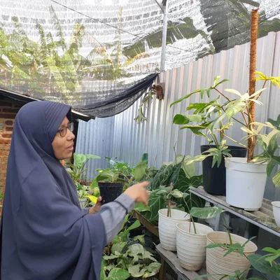 Rista Muji, Couple Preneur Exportir Tanaman Hias asal Ponorogo