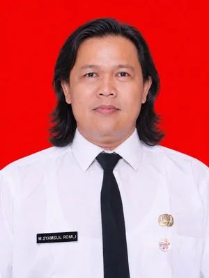 M Syamsul Romli